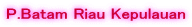 P.Batam Riau Kepulauan
