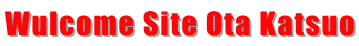 Wulcome Site Ota Katsuo 