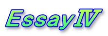 EssayⅣ