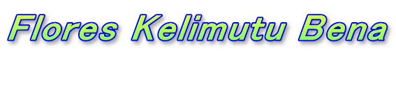 Flores Kelimutu Bena 