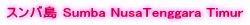スンバ島 Sumba NusaTenggara Timur