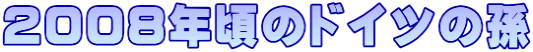 2008年頃のドイツの孫