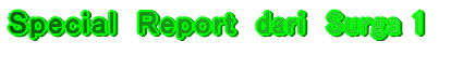 Ｓｐｅｃｉａｌ　Ｒｅｐｏｒｔ　Ｆｒｏｍ　Ｇａｒｍａｎｙ