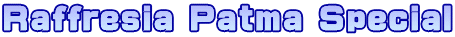 Raffresia Patma Special