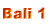 Bali 1
