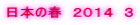 日本の春　２０１４　３