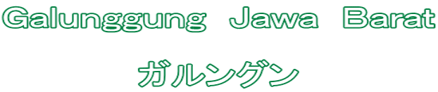 Ｇａｌｕｎｇｇｕｎｇ　Ｊａｗａ　Ｂａｒａｔ 　　 ガルングン