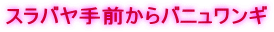 スラバヤ手前からバニュワンギ