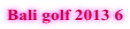 Bali golf 2013 6