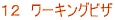 １２　ワーキングビザ