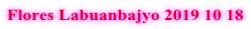 Flores Labuanbajyo 2019 10 18 