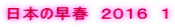 日本の早春　２０１６　１